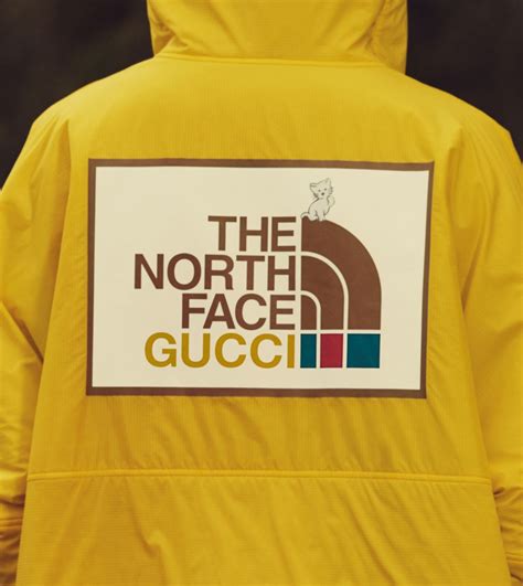 north face gucci williamsburg|gucci north face icon.